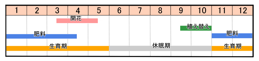 栽培カレンダー