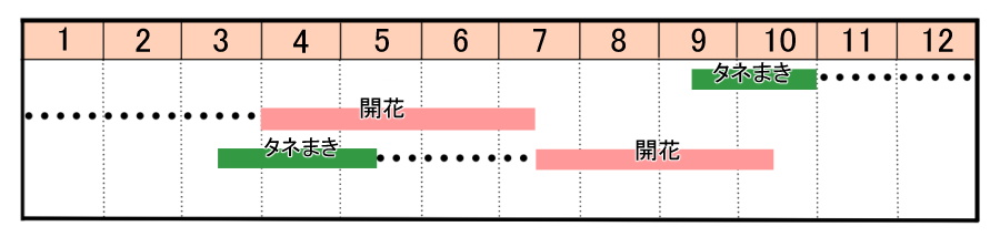 栽培カレンダー