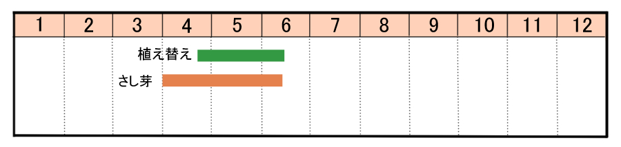 栽培カレンダー