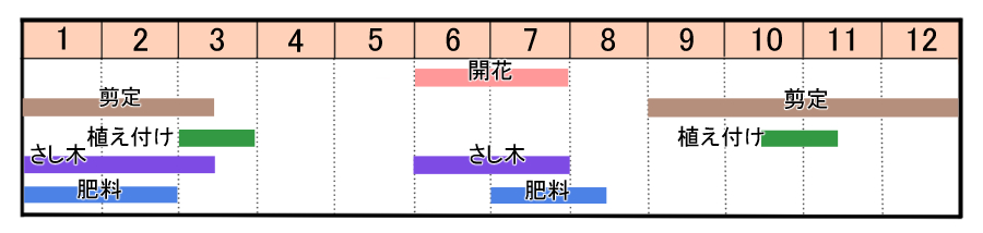 栽培カレンダー