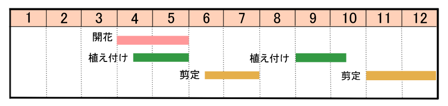 栽培カレンダー