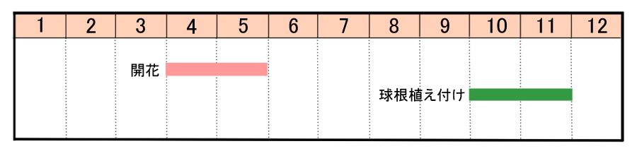 栽培カレンダー