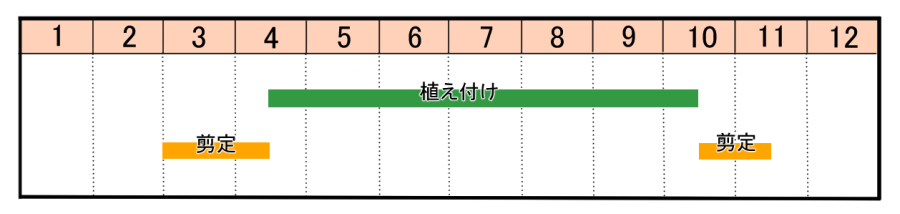 栽培カレンダー