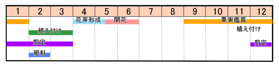 栽培カレンダー