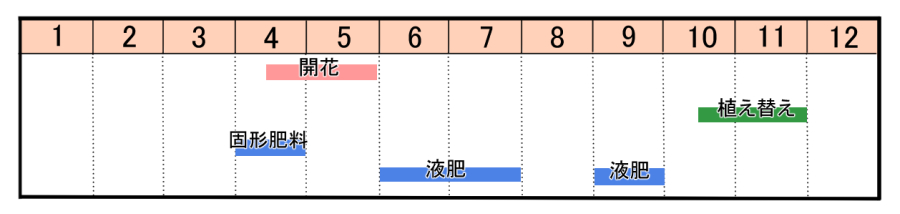 栽培カレンダー