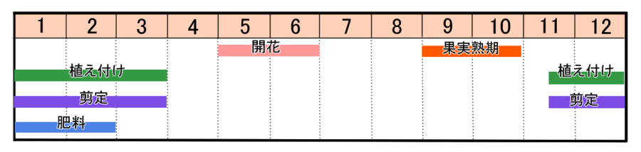 栽培カレンダー