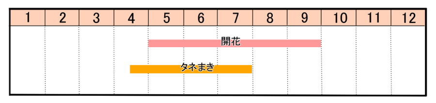 栽培カレンダー