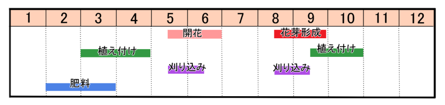 栽培カレンダー