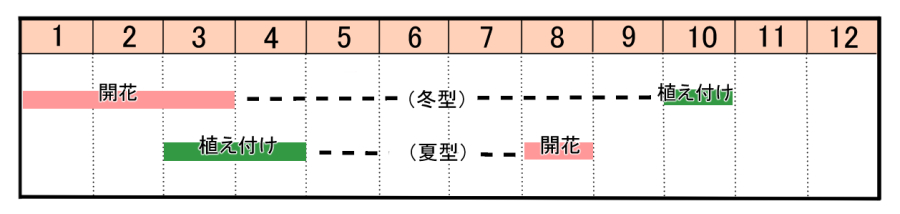 栽培カレンダー