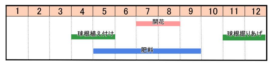 栽培カレンダー