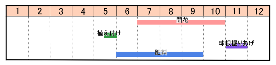 栽培カレンダー