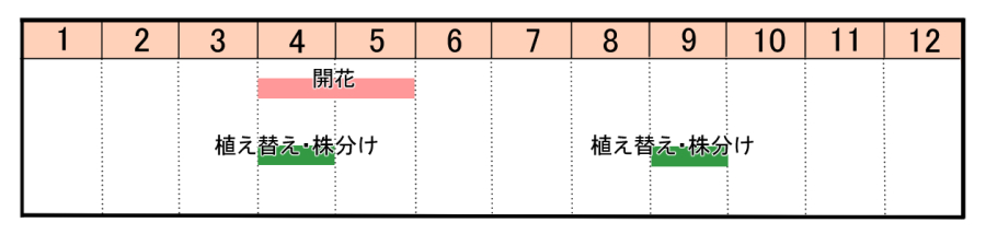 栽培カレンダー