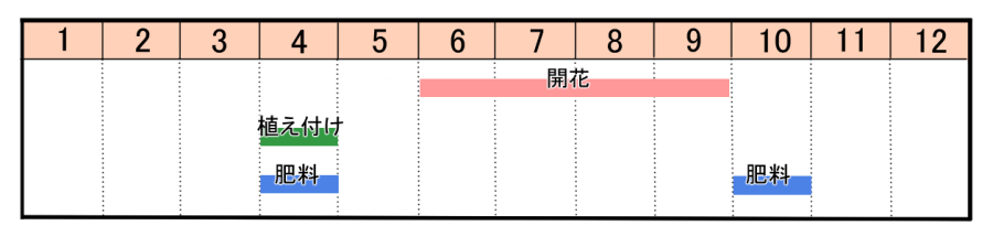 栽培カレンダー