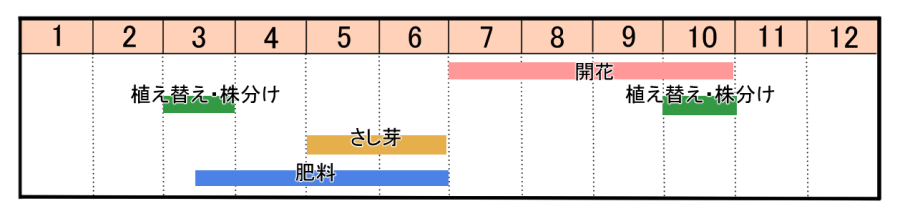 栽培カレンダー