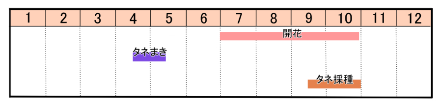 栽培カレンダー