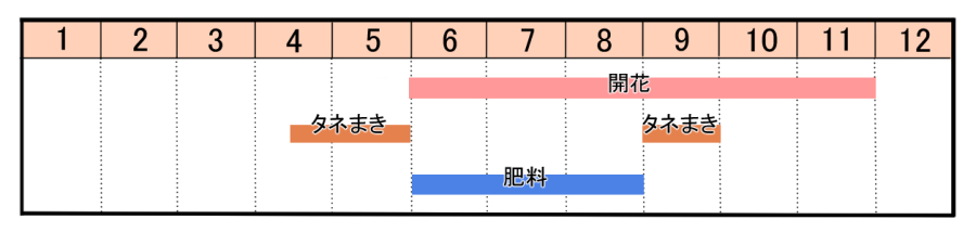 栽培カレンダー