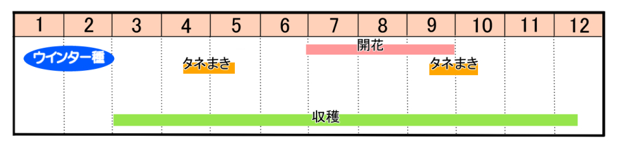 栽培カレンダー