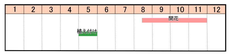 栽培カレンダー