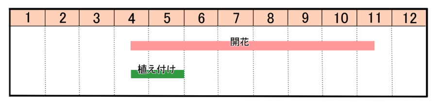 栽培カレンダー