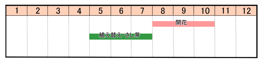 栽培カレンダー