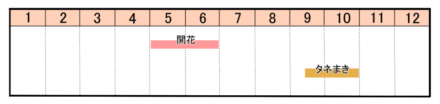 栽培カレンダー