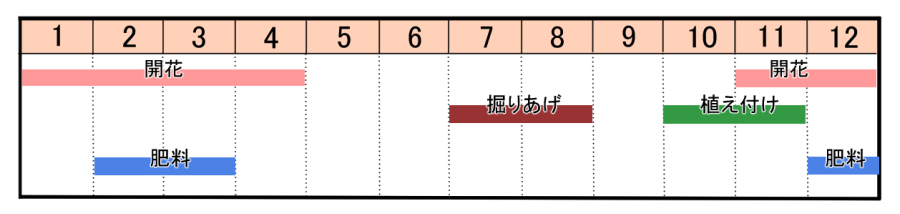 栽培カレンダー