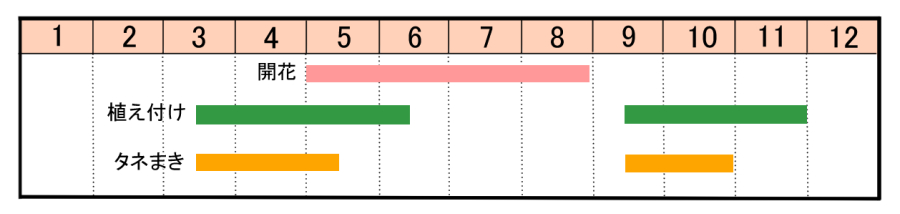 栽培カレンダー
