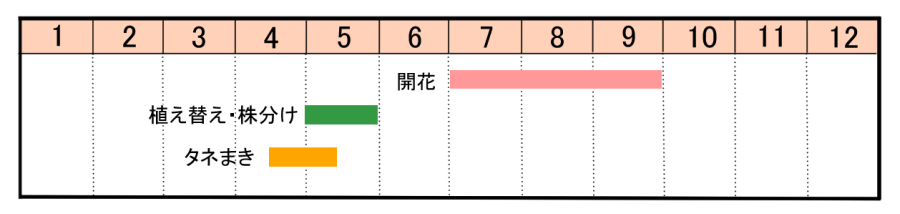 栽培カレンダー