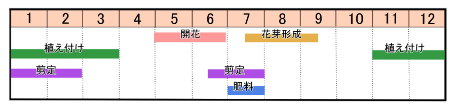 栽培カレンダー