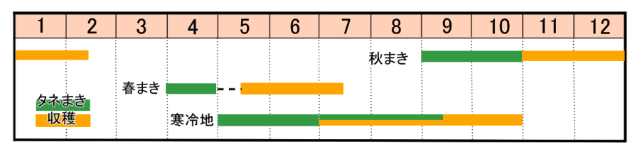 栽培カレンダー