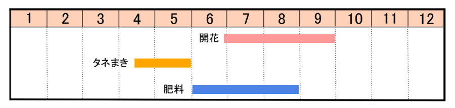 栽培カレンダー