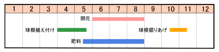 栽培カレンダー