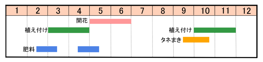 栽培カレンダー