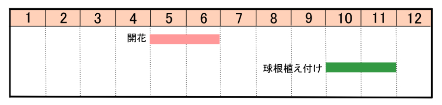 栽培カレンダー