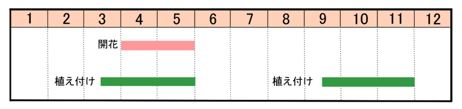 栽培カレンダー