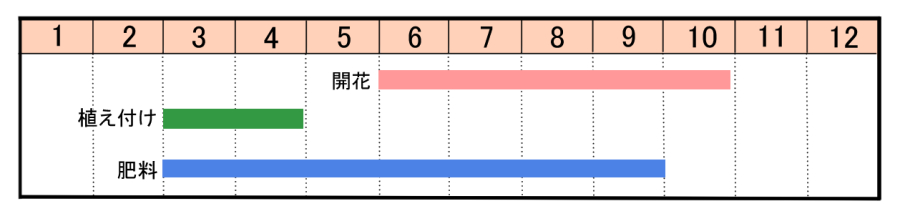 栽培カレンダー