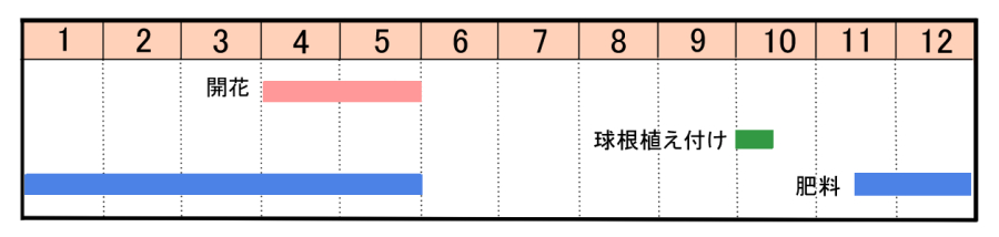 栽培カレンダー