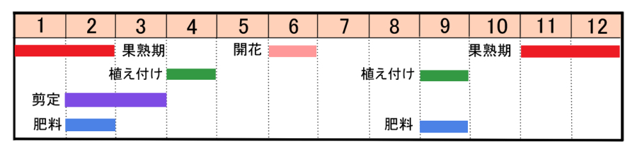 栽培カレンダー