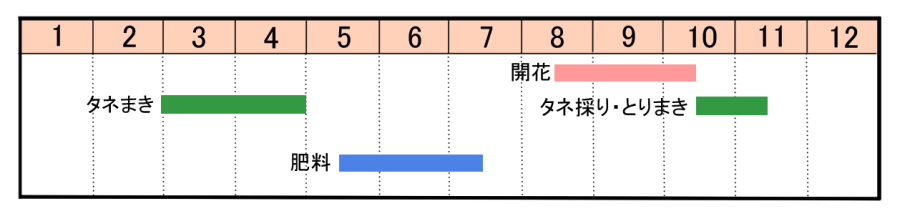 栽培カレンダー