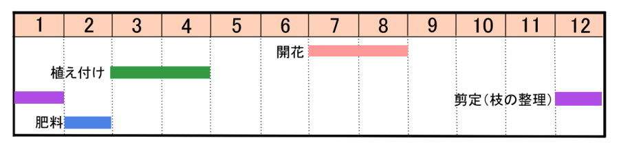 栽培カレンダー