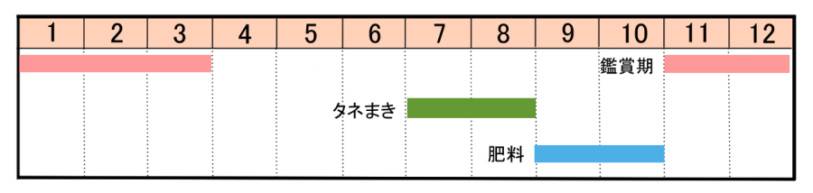 栽培カレンダー