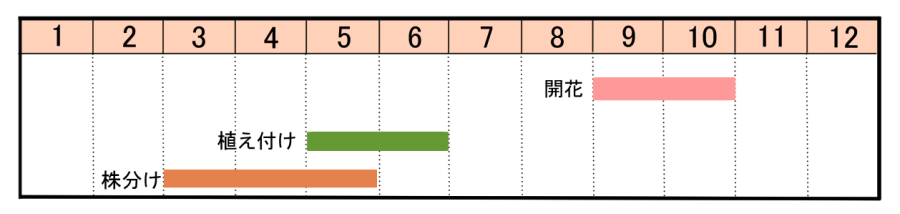 栽培カレンダー