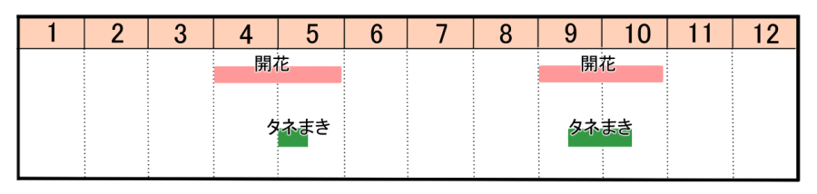 栽培カレンダー