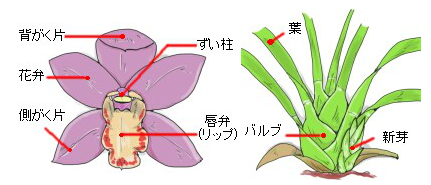 各部名称