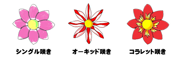 花のかたち1