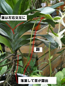 各部名称